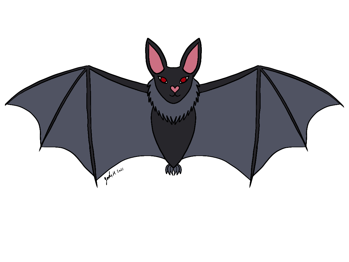 Bat - ibisPaint