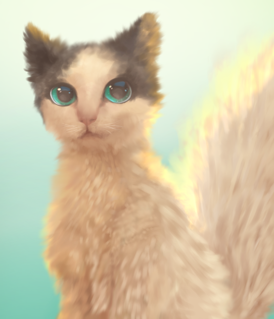 🐈