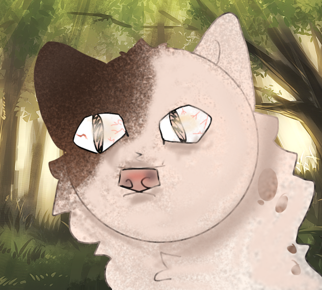 Old warrior cats drawing 2