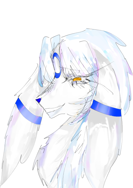 別に白髪ブラッキーがいてもいいんじゃないの
