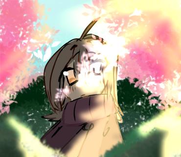 The sun