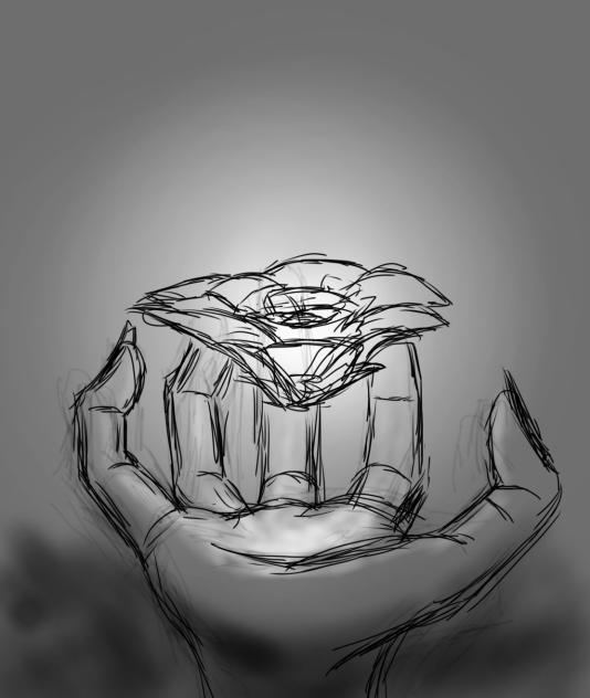 花の光