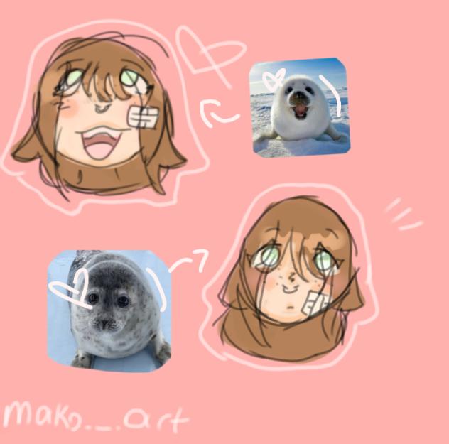 ✨Seal Face Teory 💗