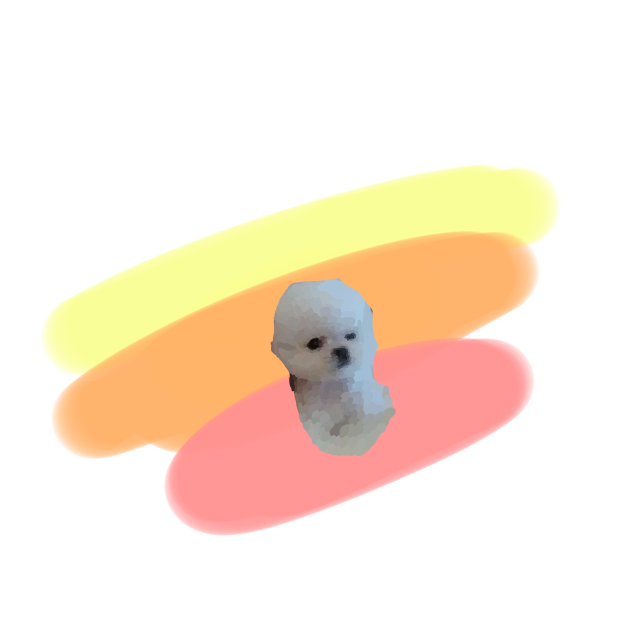 Cute Puppy