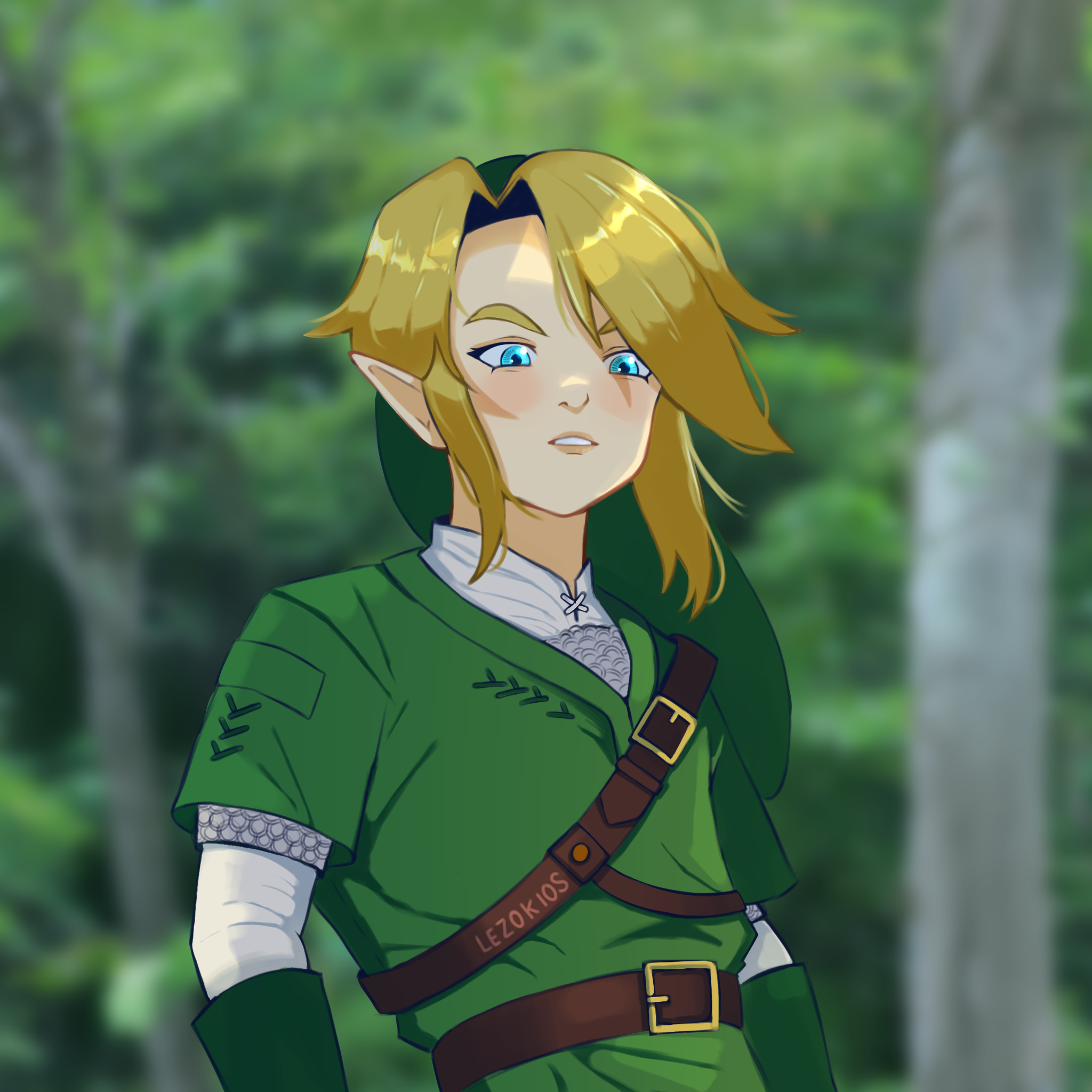 Link twilight Princess - ibisPaint