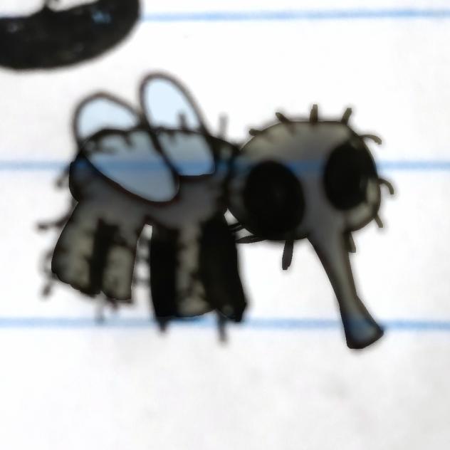 Random doodle of a fly I did