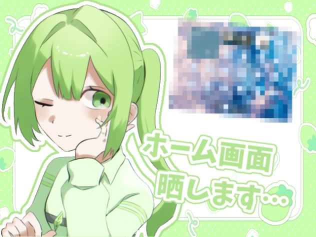 【激ヤバ】 ホーム画面晒します…