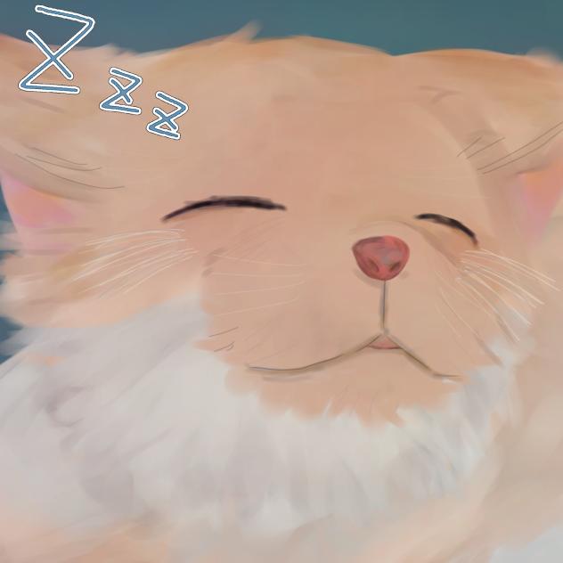 猫！