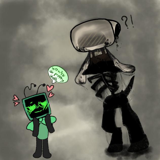 vee and twisted shelly