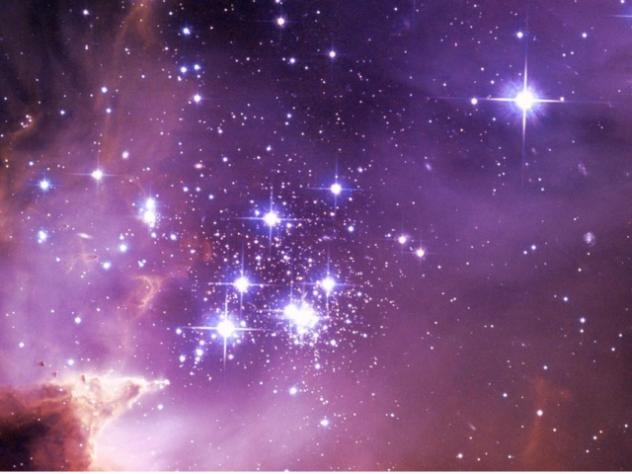 Kalo in the Space