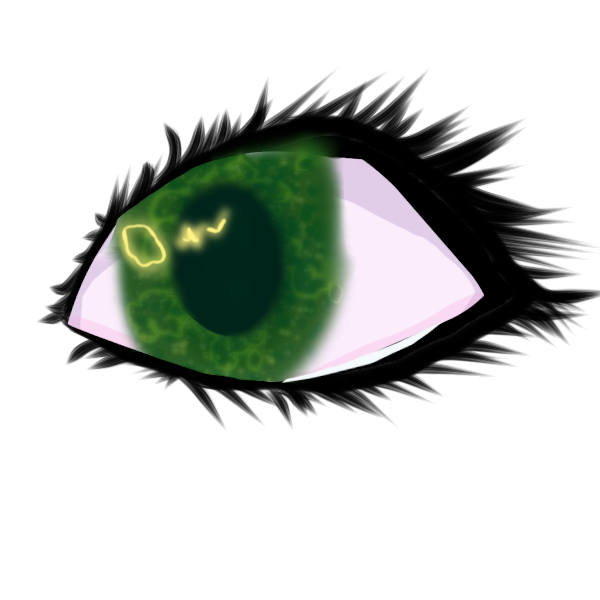 random drawing =}