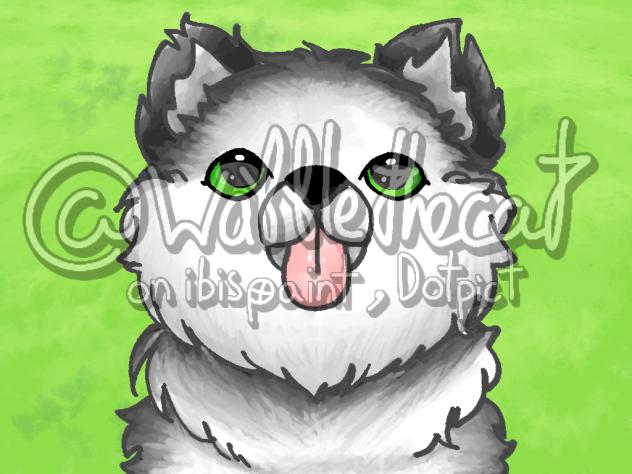 butiful malamute