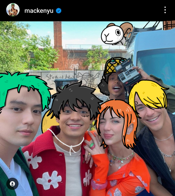 Straw Hat Pirates - ibisPaint