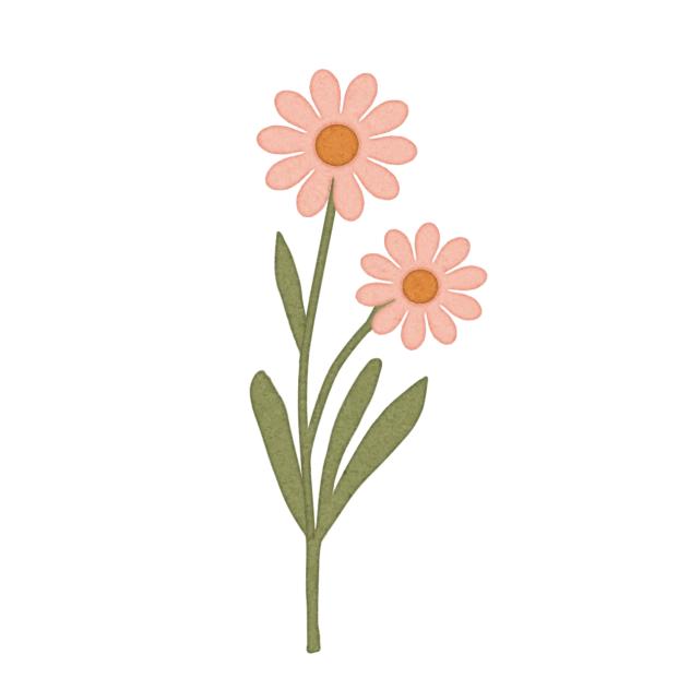 Pink Daisy sticker