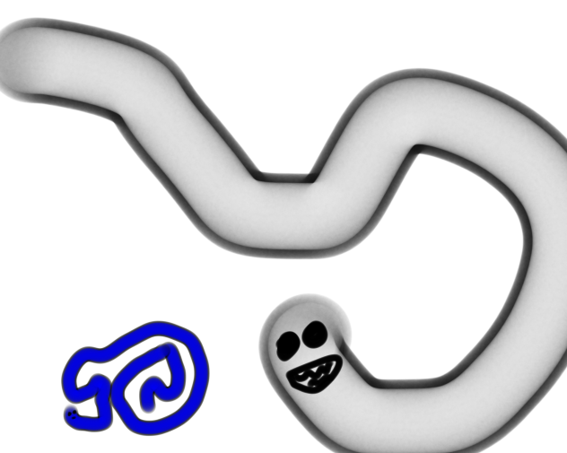 Riddle which snake is longest (Desc)