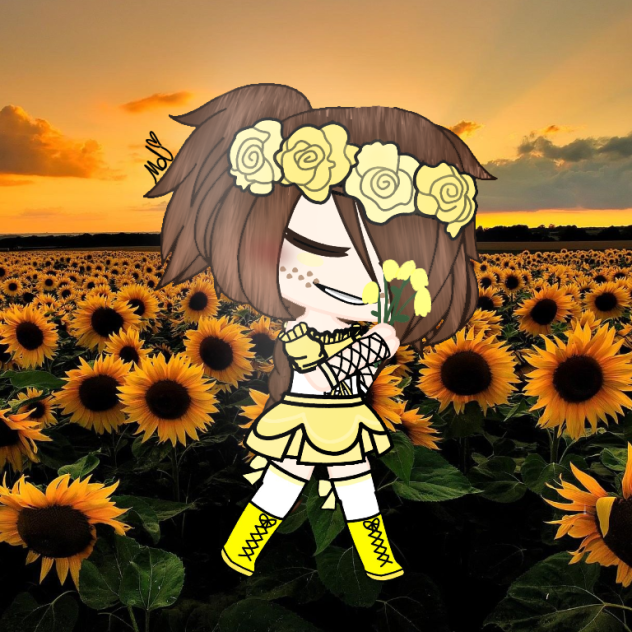 sunflower 🌻