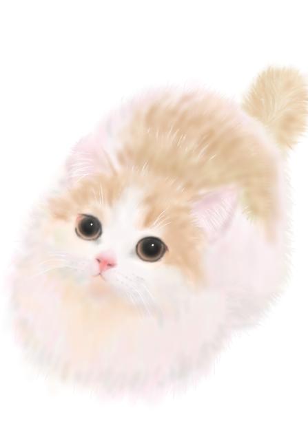ネコ3