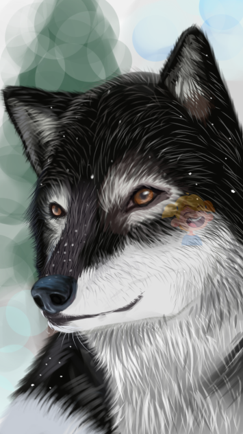 Wolf - ibisPaint