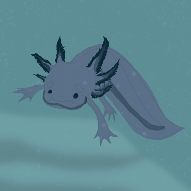axolotl wip!