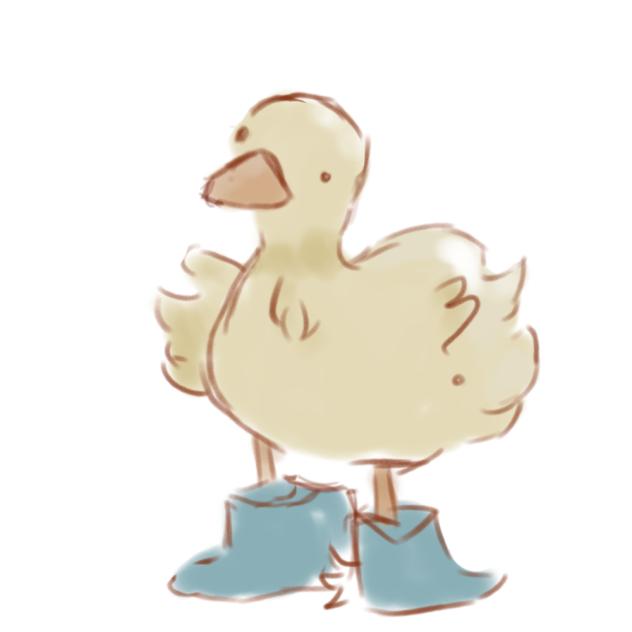 Duck