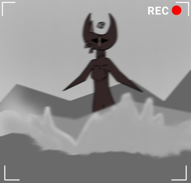 Feu in the forest... (found footage)