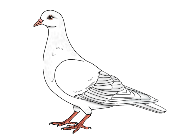 Release Dove render no leaves