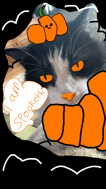 My friend edited my cat XD