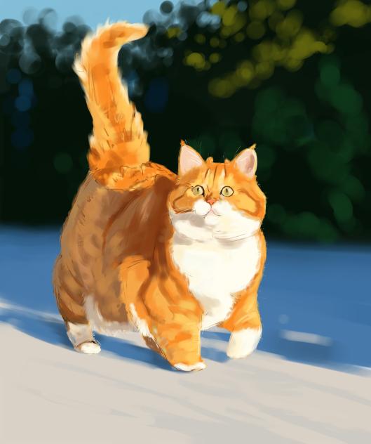 Fluffy Boi