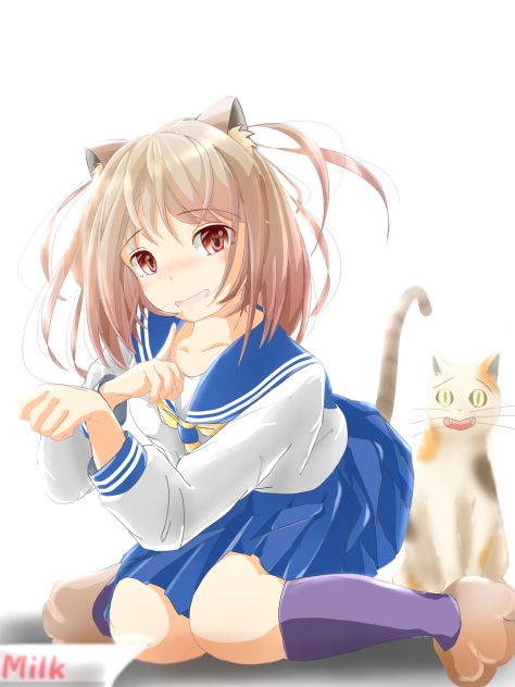 猫だにゃぁ