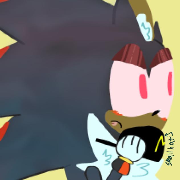Shadow the hedgehog