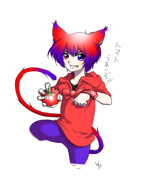 猫峰 猫汰くん