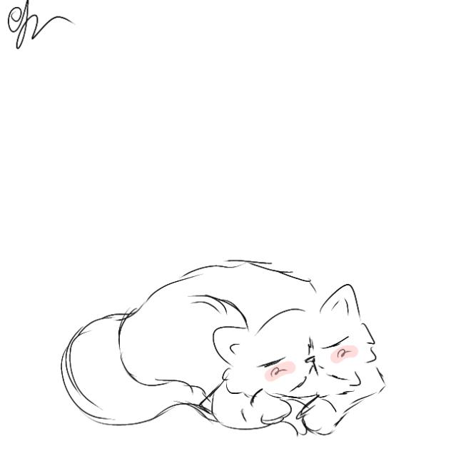 nappy kitty