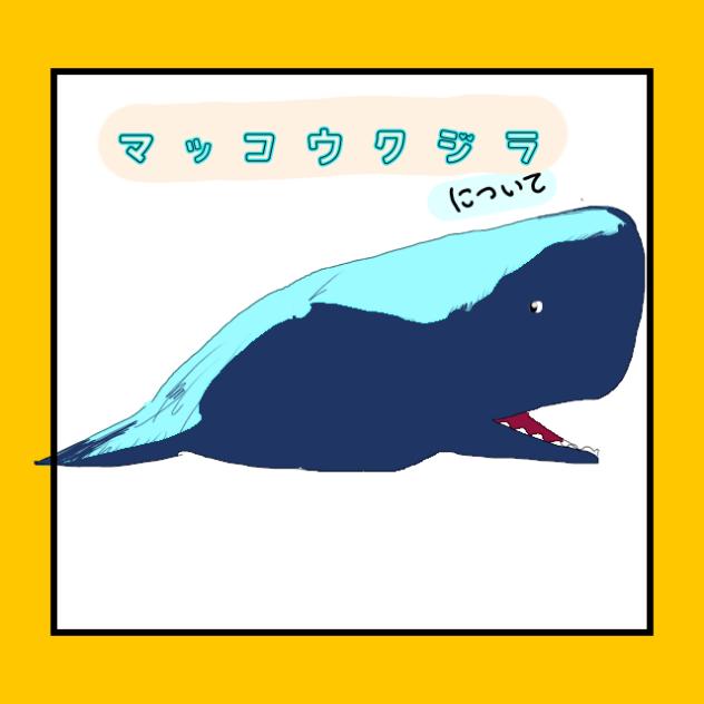 マッコウクジラについて