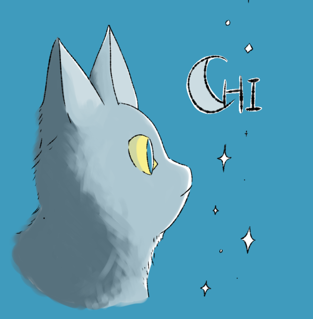月とねこちゃん🌕