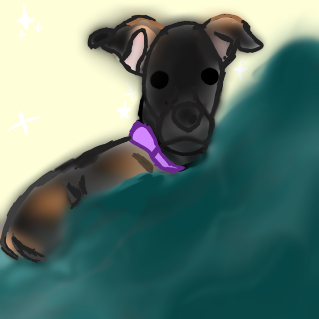 MY LITTLE CHIHUAHUA ♥