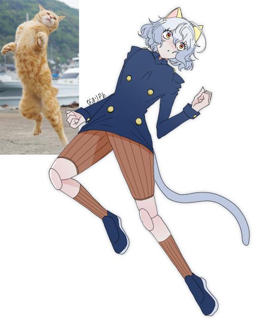 🐱🐱