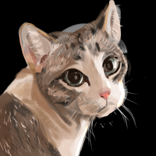 The cat 🐈 - ibisPaint