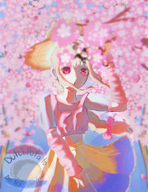 Cherry blossoms 🌸!