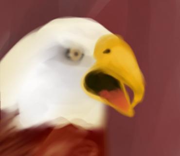 鷲