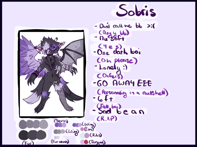 Fursona info sheet lol