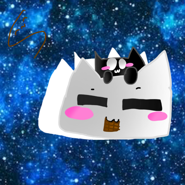 kitty