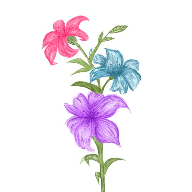 flowers 🔅 - ibisPaint