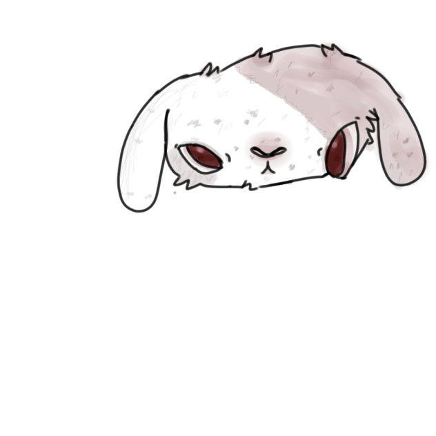 Bun