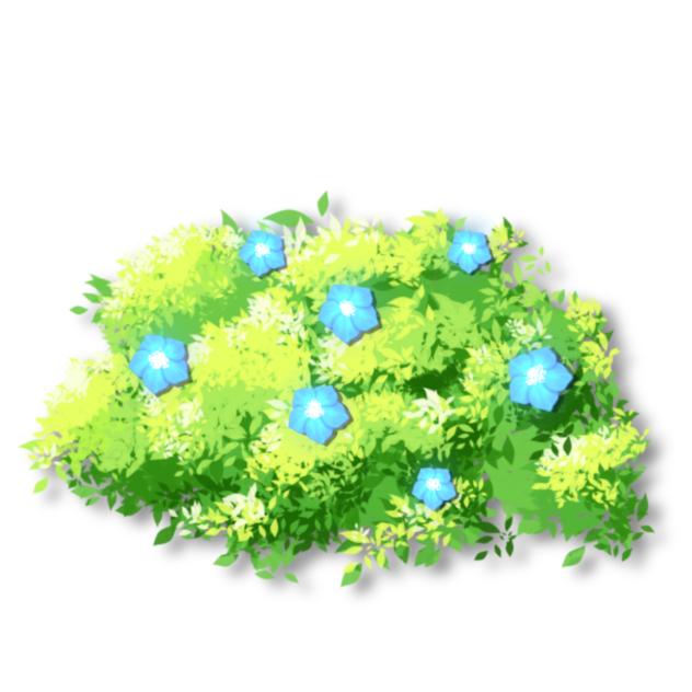 Hedge Plant with flower Blue