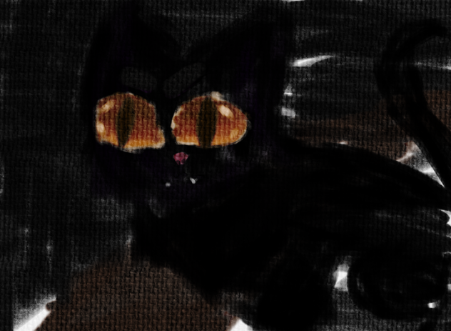 cat