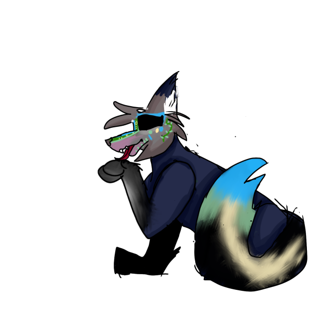Raven the wolf