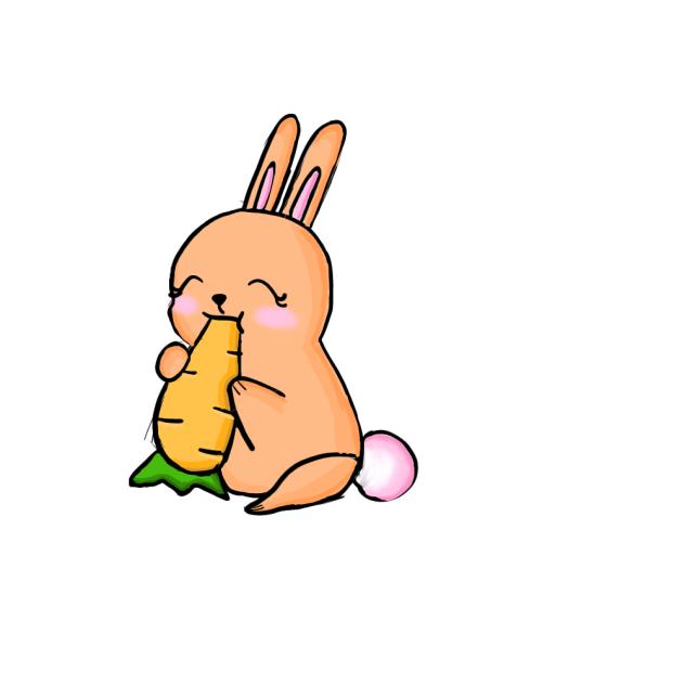 bunny - ibisPaint