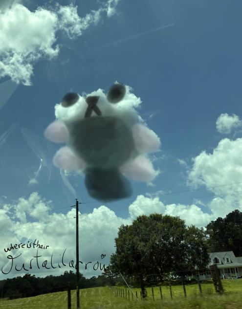 Sky cloud pebble Dandys World ❤️