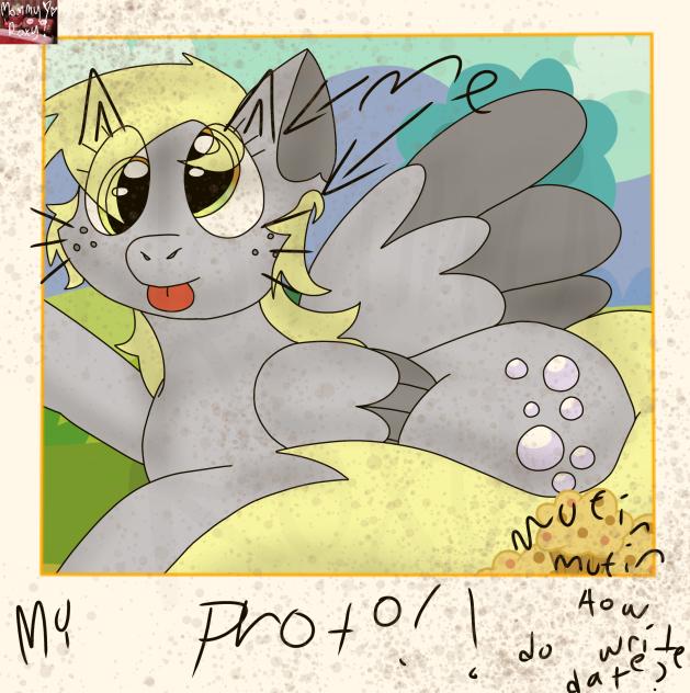 Derpy Hooves Polaroid