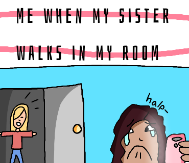 Me when my sister walks into my room